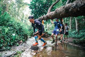 BIB: 
                            <button type="button" onclick="openModal(25369387)" class="btn btn-primary btn-sm float-right btn-popup" data-toggle="modal" data-target=".modal-high-quality">
                        <i class="fas fa-shopping-cart"></i> Add to Cart
                    </button>
                                            <button type="button" onclick="isThisMe(25369387, true)" class="btn btn-success btn-sm float-right btn-popup btn-isme hidden" data-toggle="tooltip" data-placement="bottom" title="นี่คือรูปของคุณใช่ไหม คลิกที่นี่เพื่อเอาเข้าอัลบั้ม">
                        <i class="fas fa-plus"></i> Add to album
                    </button>
                    <button type="button" onclick="isThisMe(25369387, false)" class="btn btn-warning btn-sm float-right btn-popup btn-isnotme hidden">
                        <i class="fas fa-ban"></i> Remove from album
                    </button>